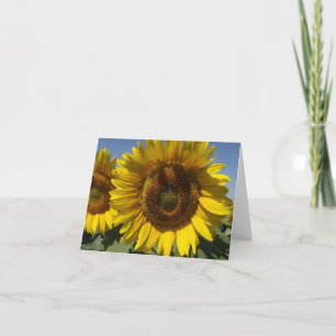 Cartão De Agradecimento Flor Amarelo Girassol Flor - Obrigado, Olá