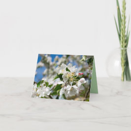 Cartão De Agradecimento Flor de cerejeira.