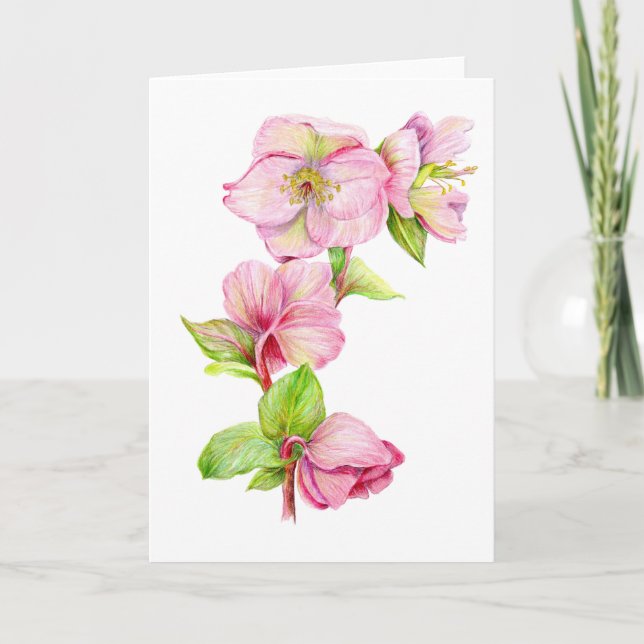 Cartão de Agradecimento - Flor de Hellebore Rosa (Frente)