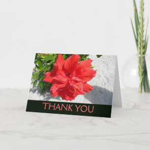 Cartão De Agradecimento Flor de Hibisco Duplo Vermelho