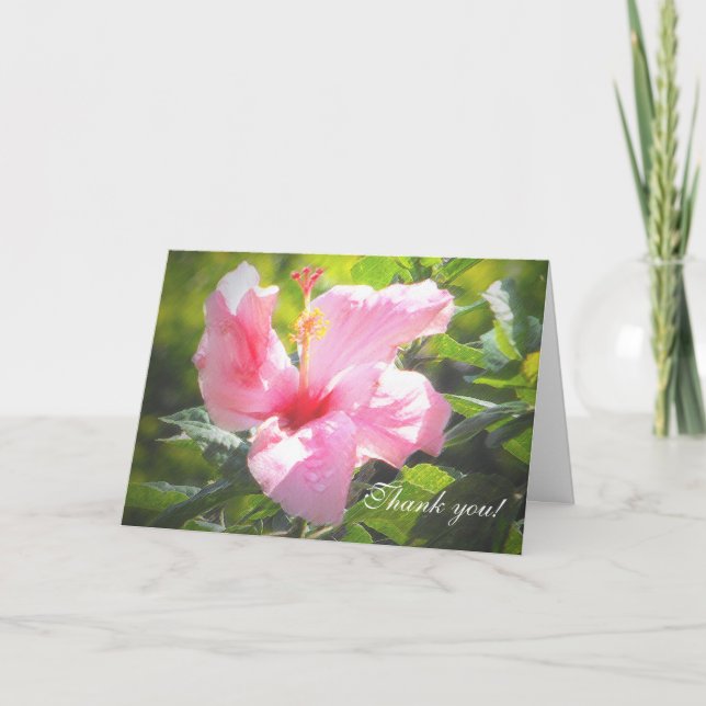 Cartão De Agradecimento Flor de Hibiscus Rosa (Frente)