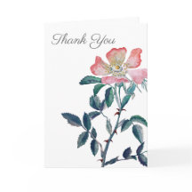 Flor de Rosa selvagem com Elegante pintado à mão