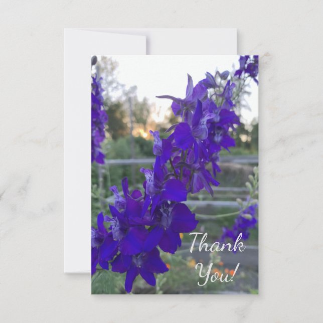 Cartão De Agradecimento Flor Púrpura ao Entardecer (Frente)