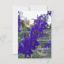 Flor Púrpura ao Entardecer