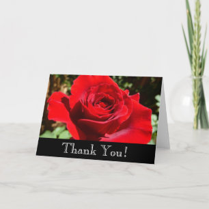 Cartão De Agradecimento Flor Rosa vermelha Brilhante Floral