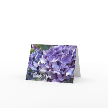 Flor Roxa de Hortênsia