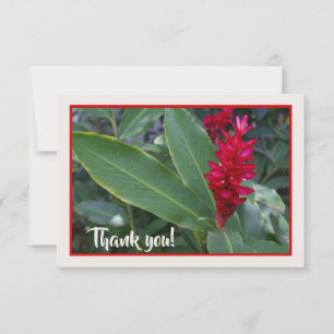 Cartão De Agradecimento Flor vermelha havaiana