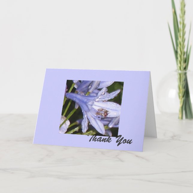 Cartão De Agradecimento Flores Azuis na manhã 1, Obrigado (Frente)