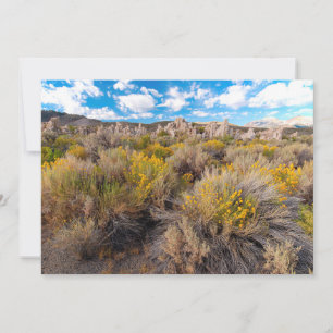 Cartão De Agradecimento Flores   Blooming Sagebrush California