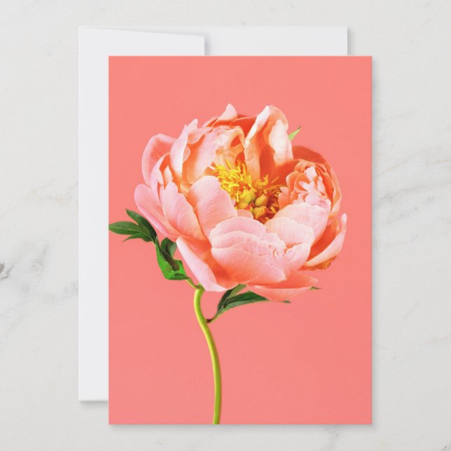 Cartão De Agradecimento Flores | Coral Peony Blossom (Frente)