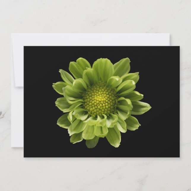 Cartão De Agradecimento Flores | Crolisântemo Verde (Frente)