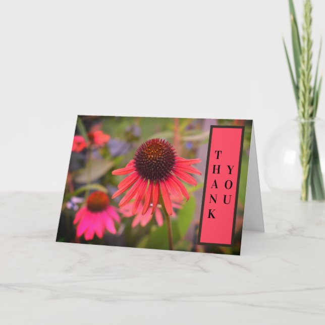 Cartão De Agradecimento Flores de Cone Vermelho Echinacea Obrigado (Frente)