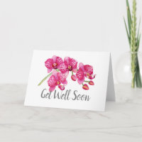 Flores De Orquídea Cor-De-Água Rosa Obtêm Uma Plac