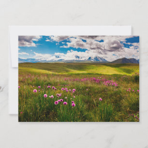 Cartão De Agradecimento Flores Montanhas Altai, Sibéria, Rússia