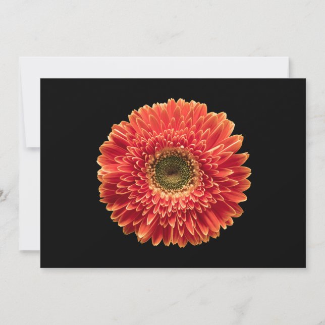 Cartão De Agradecimento Flores | Orange Gerbera Daisy (Frente)