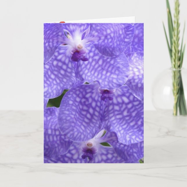 Cartão De Agradecimento Flores Orquídeas Paz Amor Destino (Frente)