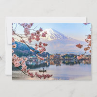 Flores | Primavera Cherry Blossoms Japão