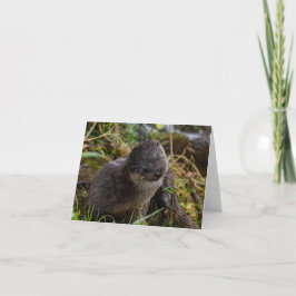 Cartão De Agradecimento Folded Thank You Card