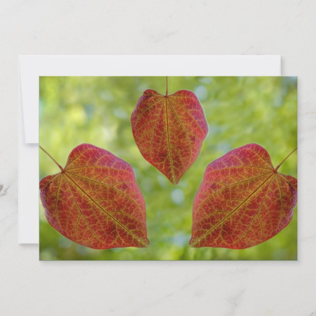 Cartão De Agradecimento Folhas de Amor da Natureza (Frente)