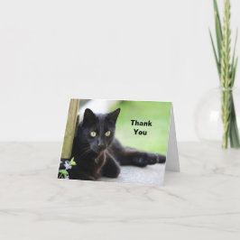 Cartão De Agradecimento Foto bonito de Gato Preto