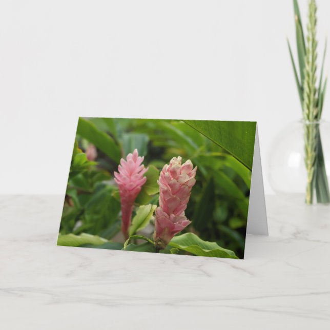 Cartão De Agradecimento Foto da Flor de Gengibre Rosa Havaiano (Frente)