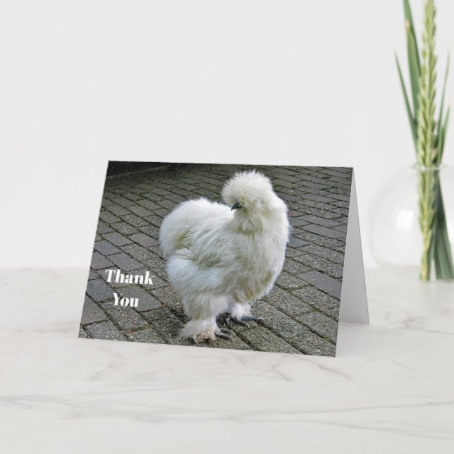 Cartão De Agradecimento Foto de frango branco Silkie (Frente)