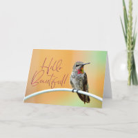 Foto de Hummingbird de Anna rosa - Olá - Belo Cart