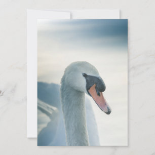 Cartão De Agradecimento Foto de Natureza de Swan Branco