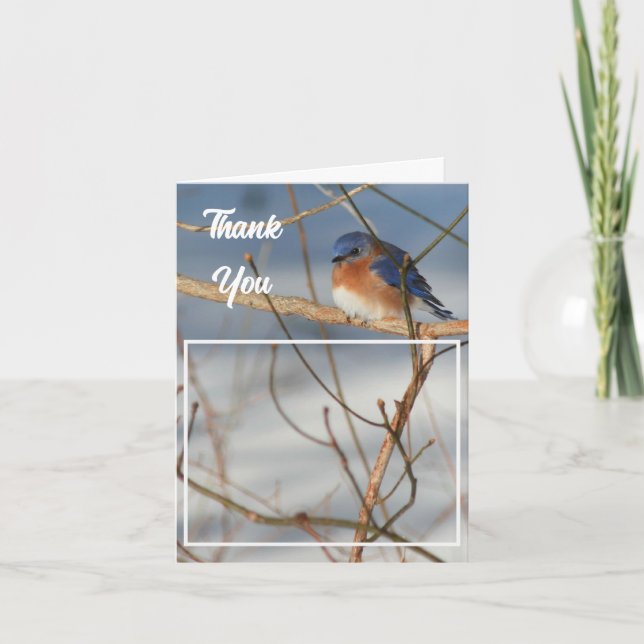 Cartão De Agradecimento Foto do Casamento do Winter Bluebird (Frente)