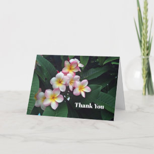 Cartão De Agradecimento Foto Floral bonito de Plumeria Rosa e Amarela