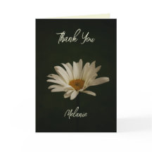 Foto oral de margarida casual personalizada