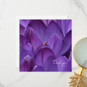 Cartão De Agradecimento Fotografia de Flor de Crocus de Primavera