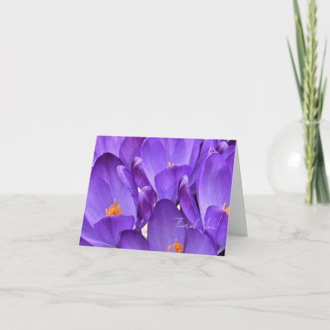 Cartão De Agradecimento Fotografia de Flor de Crocus de Primavera (Frente)