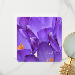 Cartão De Agradecimento Fotografia de Flor de Crocus de Primavera