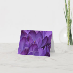 Cartão De Agradecimento Fotografia de Flor de Crocus de Primavera