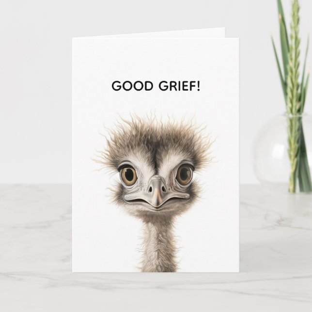 CARTÃO DE AGRADECIMENTO FRAZZLED BELATED BIRTHDAY CARD (Frente)