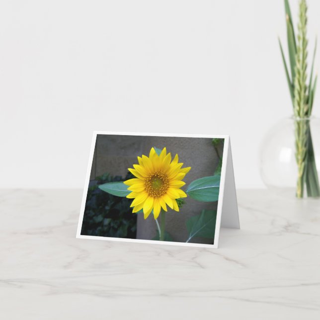 Cartão De Agradecimento Friendship, thank you, birthday, sunflower card (Frente)