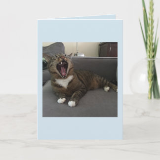 Cartão De Agradecimento Funny cats, Apology for isolating myself card