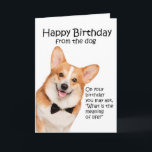 Cartão De Agradecimento Funny Corgi Birthday Card<br><div class="desc">This funny Pembroke Welsh Corgi birthday card isn't JUST for Corgi lovers.</div>