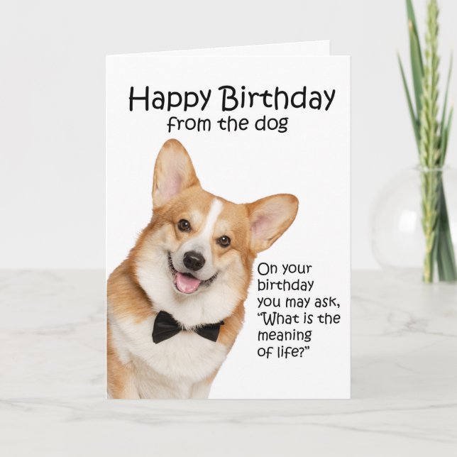 Cartão De Agradecimento Funny Corgi Birthday Card (Frente)