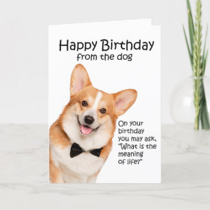 Cartão De Agradecimento Funny Corgi Birthday Card