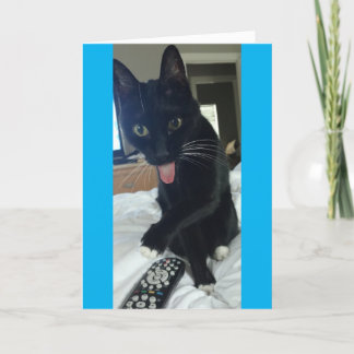 Cartão De Agradecimento funny Thank You card cat hides remote Mother's Da