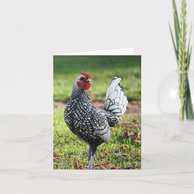 Cartão De Agradecimento Galeria, placa de Vazio (Frente)