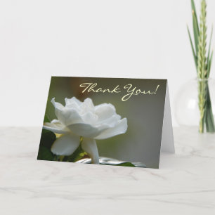 Cartão De Agradecimento Gardenia Thank You Card