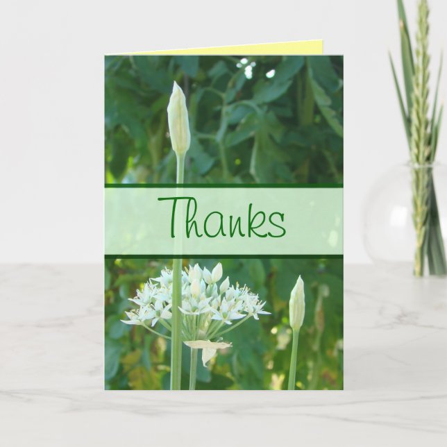 Cartão De Agradecimento Garlic Chives Banner card-customize any occasion (Frente)