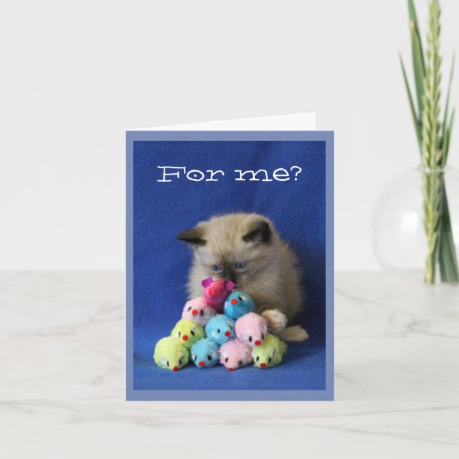 Cartão De Agradecimento Gatinho Cruz-Eyed com ratos do brinquedo (Frente)