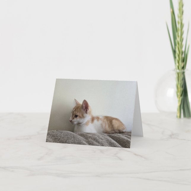 Cartão De Agradecimento Gatinho laranja (Frente)