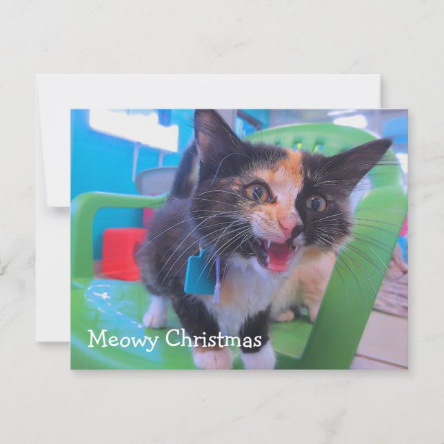 Cartão De Agradecimento Gatinho Meowy da chita (Frente)