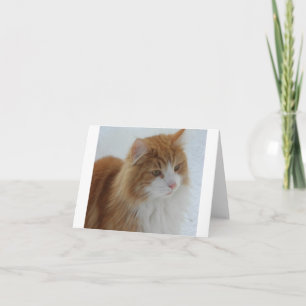 Cartão De Agradecimento Gato_da_Floresta_Norueguesa