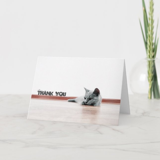 Cartão De Agradecimento Gato Gato Gato Gato Gato Gato Super Bonito "Obriga (Frente)